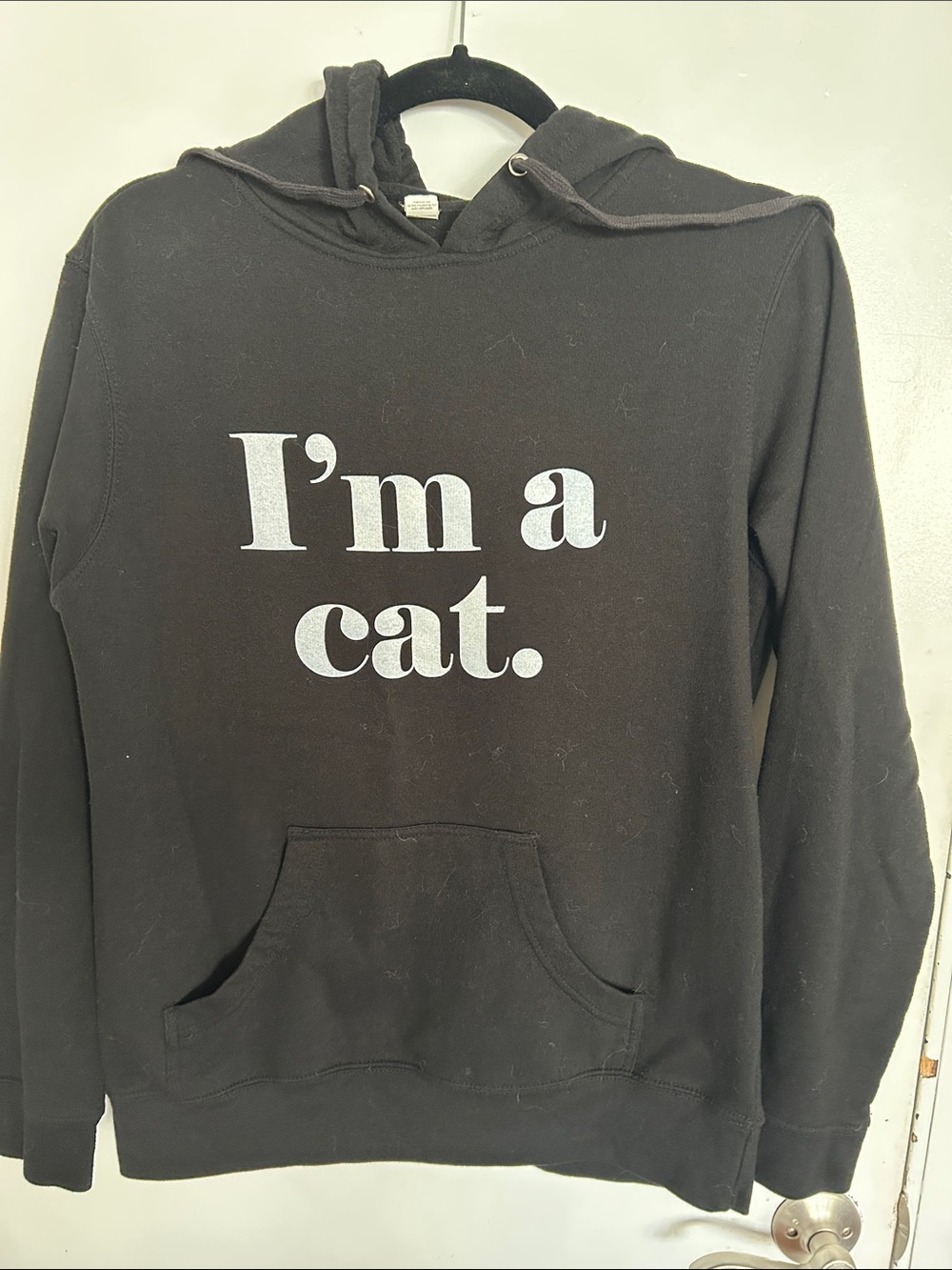Halloween - I’m A Cat hoodie